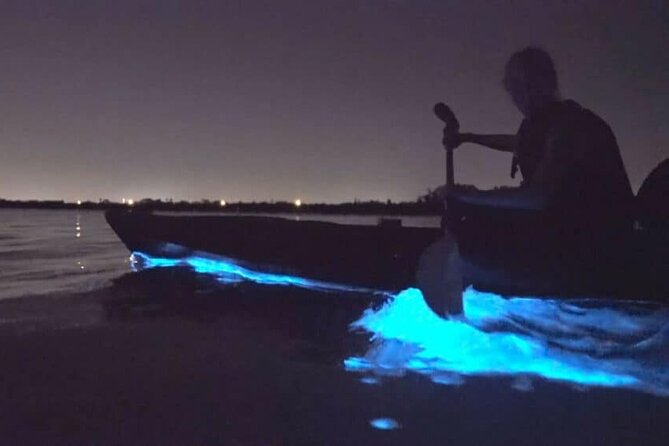 Bioluminescence Tour in Kayak in Holbox Island - Why Holbox is a good place for night kayaking