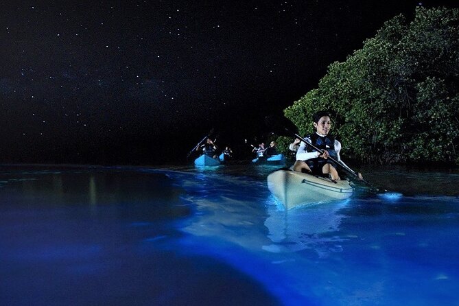 Bioluminescence Tour in Kayak in Holbox Island - Hotel pickup and the ride to Mosquito Beach