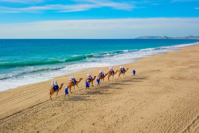 Boat Ride to the Arch and Beach Camel Ride in Cabo San Lucas - Key points to know before booking