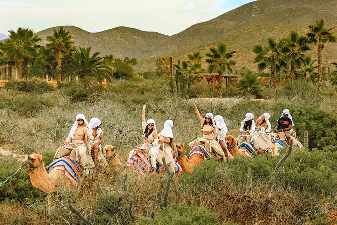 Boat Ride to the Arch and Beach Camel Ride in Cabo San Lucas - A Cabo morning with two very different attractions