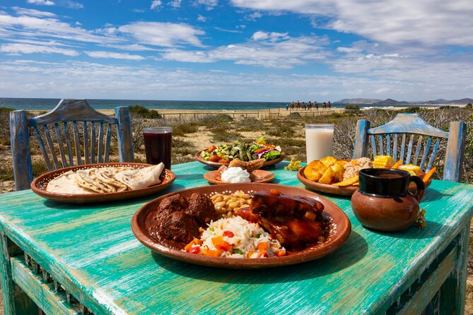 Boat Ride to the Arch and Beach Camel Ride in Cabo San Lucas - The long Pacific coast drive to Rancho Tierra Sagrada