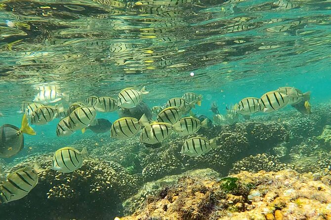 Boat ride to the Arch and Snorkel - The 30-minute ride across the Sea of Cortez