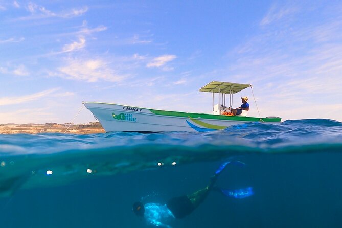 Boat ride to the Arch and Snorkel - The boat ladder is the one real physical challenge