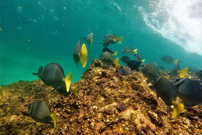 Boat ride to the Arch and Snorkel - How the $82.44 price measures up