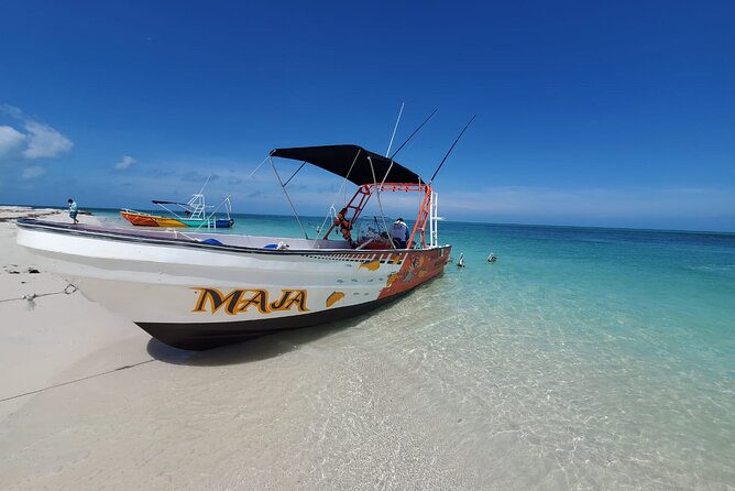 Boat Tour of Three Islands in Holbox with Transportation - Isla Pajaros and the value of protected habitat