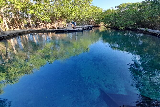 Boat Tour of Three Islands in Holbox with Transportation - Wildlife watching without a full-day commitment