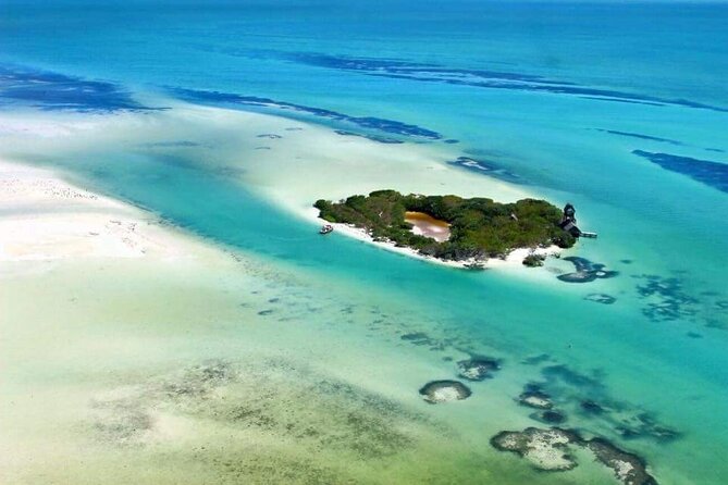 Boat Tour of Three Islands in Holbox with Transportation - What to pack for the boat and swimming stops