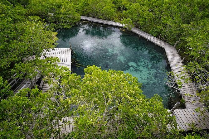 Boat Tour of Three Islands in Holbox with Transportation - When the price feels fair