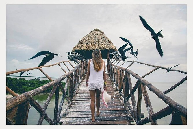 Boat Tour of Three Islands in Holbox with Transportation - Yalahau Lagoon and the freshwater Ojo de Agua