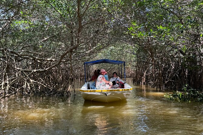 Boat tour through the mangroves of Celestún and Playa from Merida - Key Things To Know Before You Book