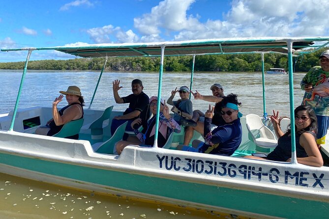 Boat tour through the mangroves of Celestún and Playa from Merida - Flamingos, Birds, and The Luck Of The Weather