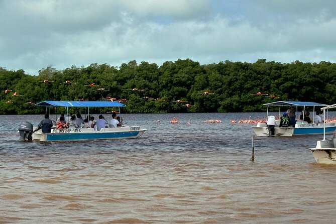 Boat tour through the mangroves of Celestún and Playa from Merida - The Mayan Clay Bath And What To Bring