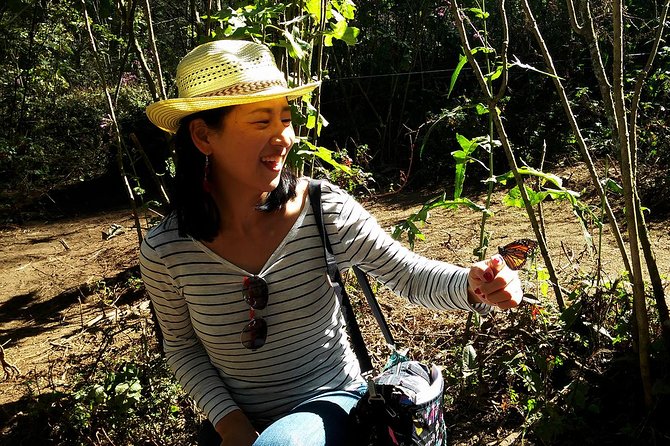 Butterfly Monarch Tour from Mexico City - Is $250 a fair price?