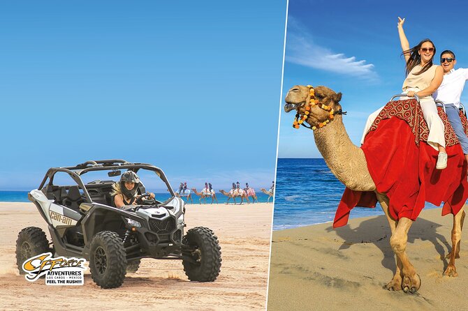 Cabo Adventure: Can-Am X3 Ride & Camel Beach Tour - Key points before you book
