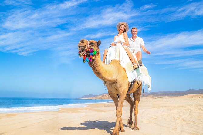 Cabo Adventure: Can-Am X3 Ride & Camel Beach Tour - What the $175 price really covers