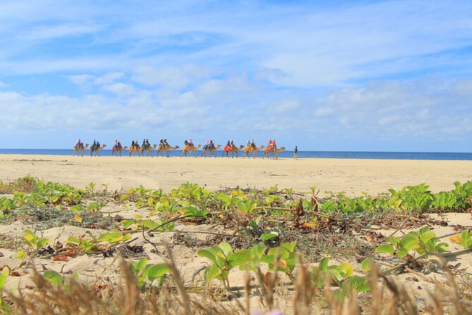 Cabo Adventure: Can-Am X3 Ride & Camel Beach Tour - Who should book this Cabo adventure?