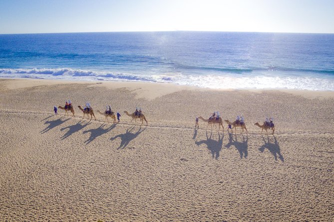 Cabo Beach Camel Ride, Mexican Buffet and Tequila Tasting - Key points to know before booking