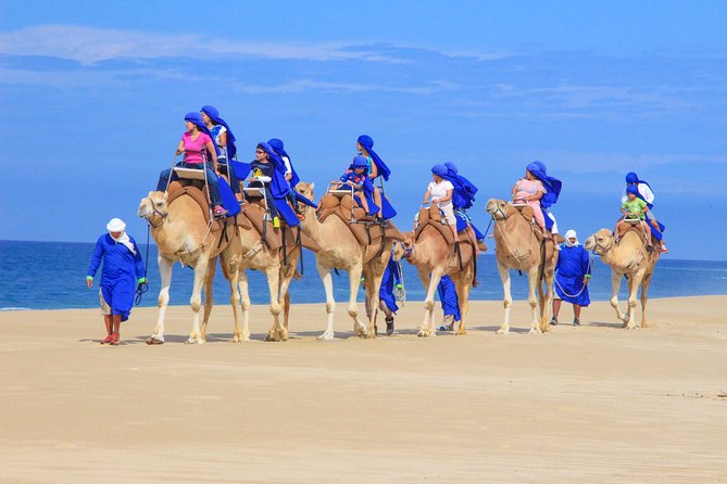 Cabo Beach Camel Ride, Mexican Buffet and Tequila Tasting - A coastal ranch with more than a camel ride