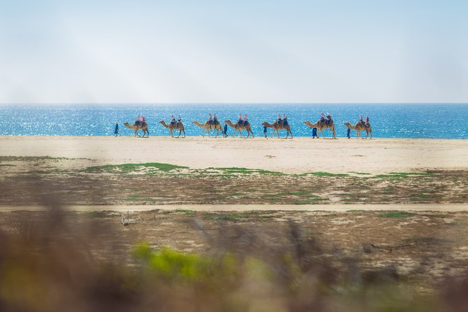 Cabo Beach Camel Ride, Mexican Buffet and Tequila Tasting - Mexican buffet beside the sea