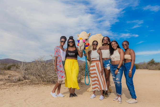 Cabo Beach Camel Ride, Mexican Buffet and Tequila Tasting - Is $99 a fair price?