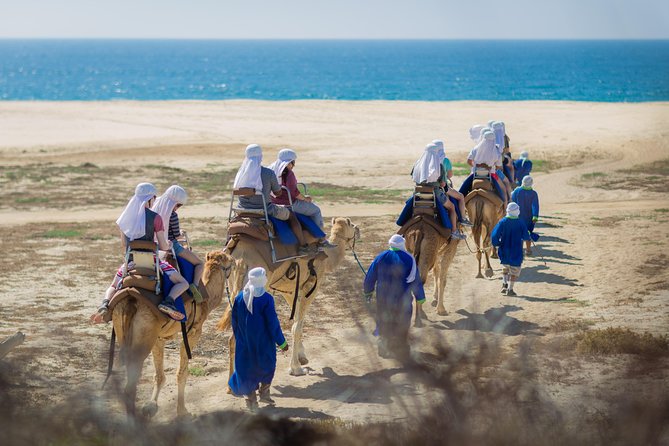 Cabo Beach Camel Ride, Mexican Buffet and Tequila Tasting - Who will enjoy this Cabo excursion?