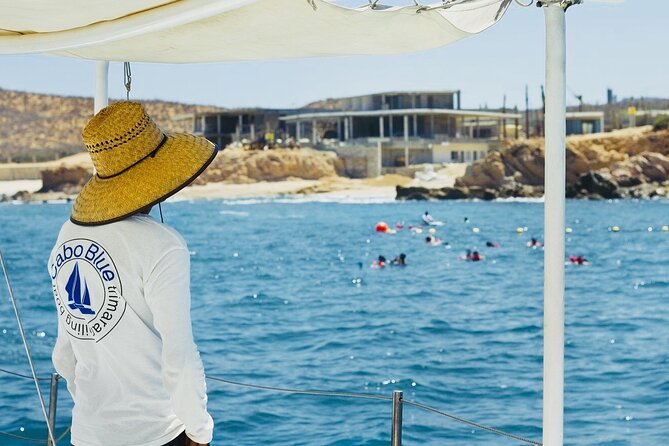 Cabo Blue Snorkeling Cruise, Open Bar and Lunch in Cabo San Lucas - Whale Watching From December Through April