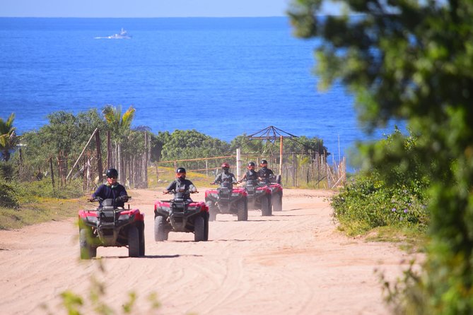 Cabo Candelaria Village Adventure + Tequila Tasting - Key points at a glance