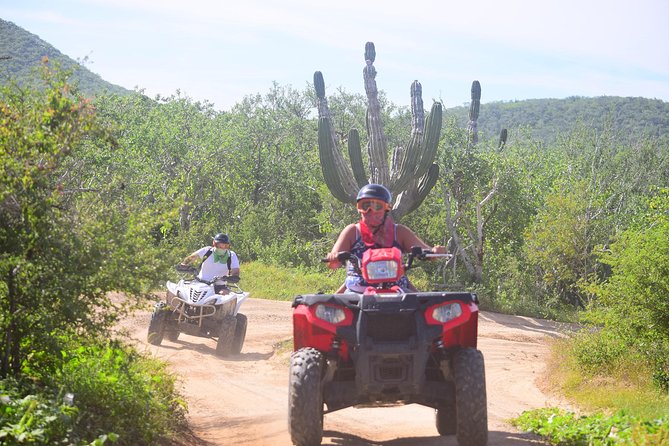Cabo Candelaria Village Adventure + Tequila Tasting - Who will enjoy this ride most