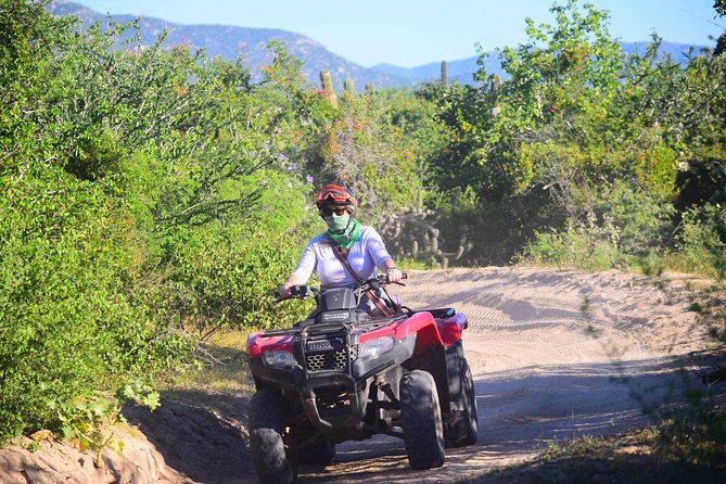 Cabo Candelaria Village Adventure + Tequila Tasting - Small details that can improve the day