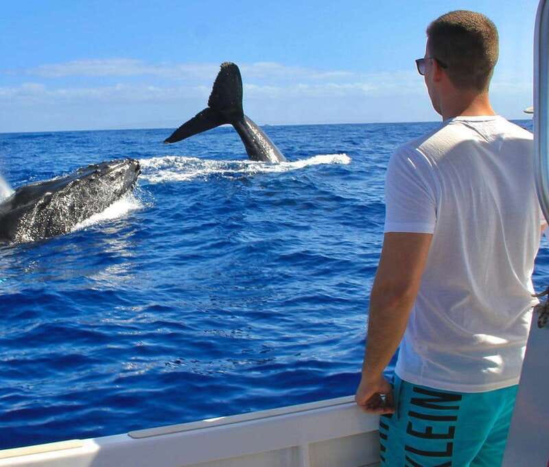 Cabo Catamaran Snorkel: Arch & Santa Maria, Open Bar, Snacks - Who should book this experience?