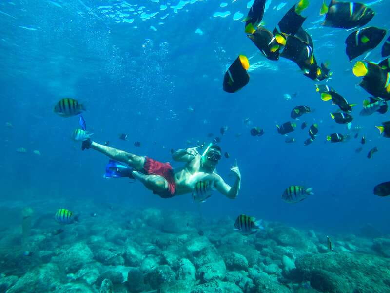 Cabo Catamaran Snorkel: Arch & Santa Maria, Open Bar, Snacks - How good is the $75 value?