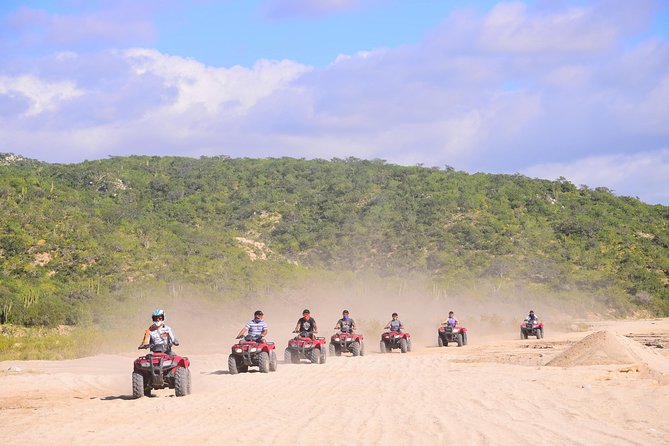 Cabo Desert Off-Road & Beach Horseback Combo and Tequila Tasting - Key details before you book