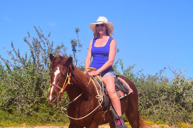 Cabo Desert Off-Road & Beach Horseback Combo and Tequila Tasting - One hour on Baja’s ATV trails