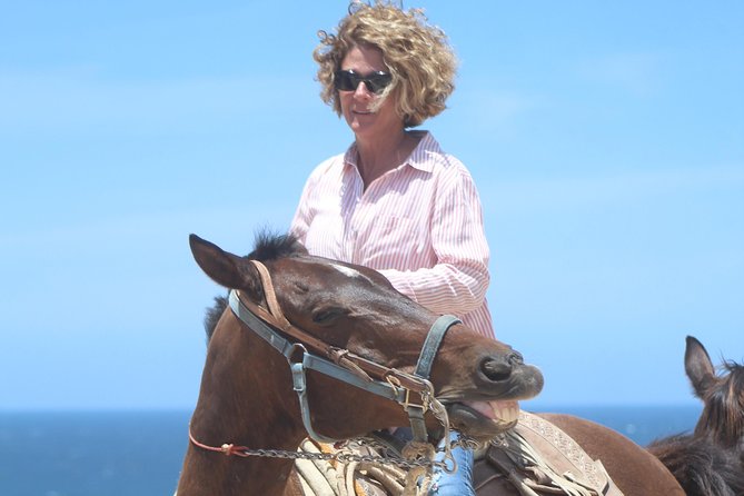 Cabo Desert Off-Road & Beach Horseback Combo and Tequila Tasting - The beach horseback ride