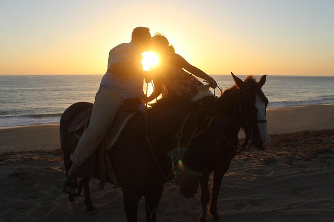 Cabo Desert Off-Road & Beach Horseback Combo and Tequila Tasting - Tequila tasting, photos, and the end of the visit