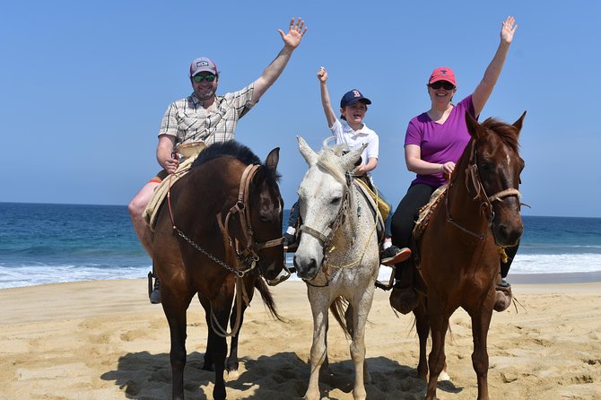 Cabo Desert Off-Road & Beach Horseback Combo and Tequila Tasting - Group size, private tours, and guide quality