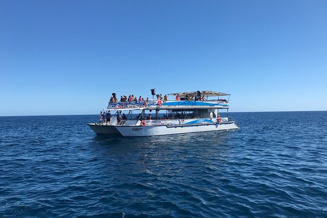 Cabo Escape Snorkel Fun Cruise - The party-boat question