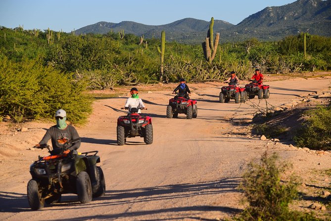 Cabo Migrino Beach and Desert ATV Tour plus Tequila Tasting - Tequila tasting after the dust settles