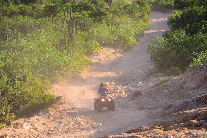 Cabo Original Real Baja 1000 Tour (Single ATV) - Who will enjoy this ride most