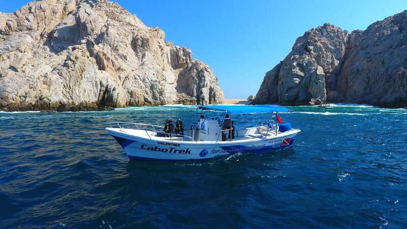 Cabo San Lucas: 2.5-Hour Whale Watching Tour - The Arch and Cabo’s Sea Lions
