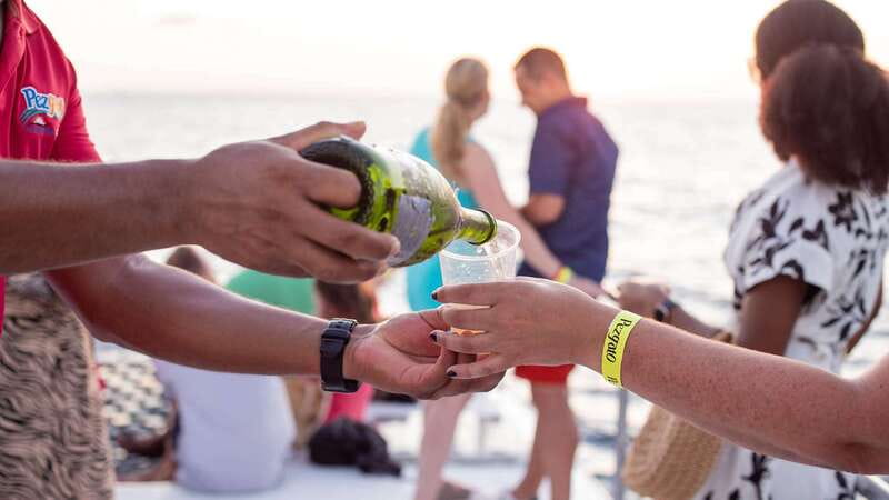 Cabo San Lucas: 2 Hour Sunset Cruise with Food and Wine - Appetizers, premium wine, and an open bar