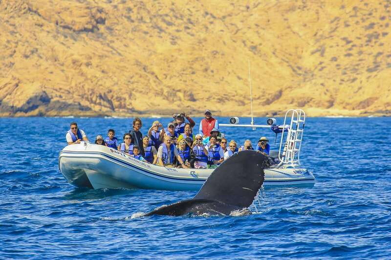 Cabo San Lucas: 2-Hour Whale Watching Adventure - Boarding the inflatable boat in Cabo San Lucas