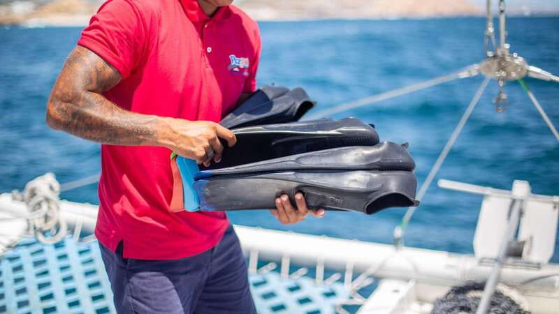 Cabo San Lucas: 4-Hour Snorkeling Cruise with Open Bar - Lunch, free time, and the open bar