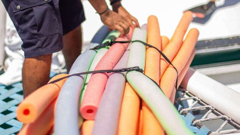 Cabo San Lucas: 4-Hour Snorkeling Cruise with Open Bar - The crew is the heart of the experience