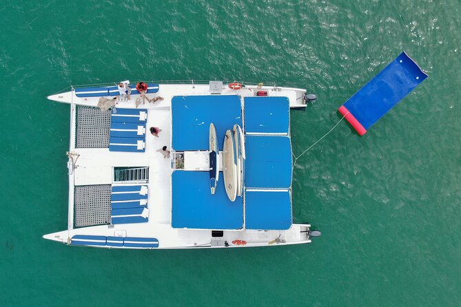 Cabo San Lucas All-Inclusive Private Catamaran Snorkeling Cruise - Whale season from December through March