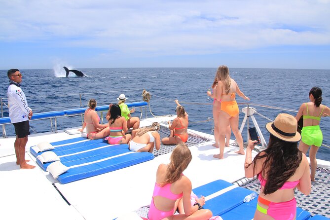Cabo San Lucas All-Inclusive Private Catamaran Snorkeling Cruise - Is $2,200 a fair price?