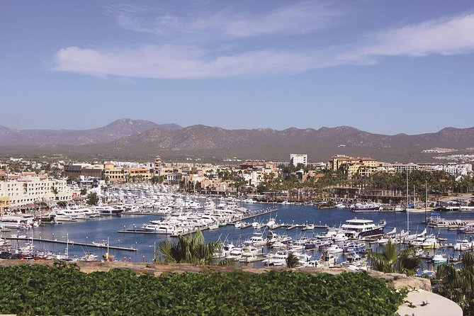 Cabo San Lucas and San Jose del Cabo Sightseeing Tour - Tequila tasting closes the sightseeing loop