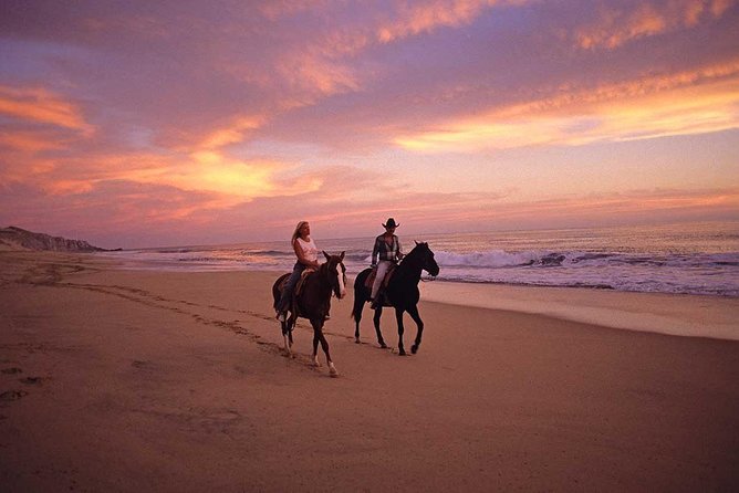 Cabo San Lucas Beach and Desert Horseback Ride - Who will enjoy this Cabo excursion?