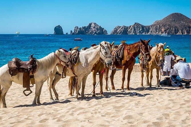 Cabo San Lucas Beach and Desert Horseback Ride - Booking, weather, and cancellation details
