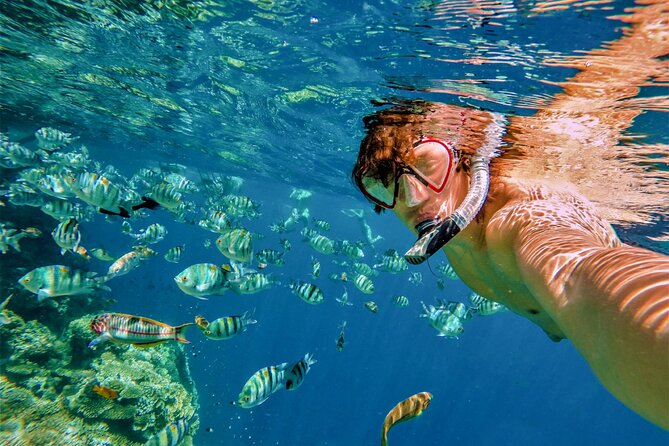 Cabo San Lucas Boat Tour with Snorkeling, Open Bar, and Lunch - Playa el Chileno and the Swim Stop